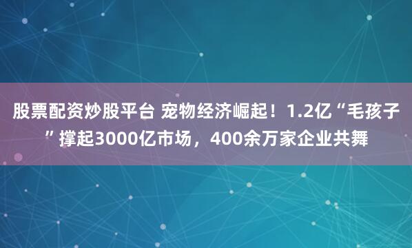 股票配资炒股平台 宠物经济崛起！1.2亿“毛孩子”撑起3000亿市场，400余万家企业共舞