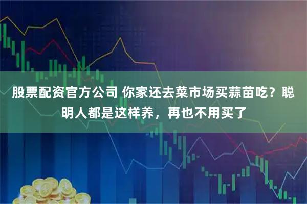 股票配资官方公司 你家还去菜市场买蒜苗吃？聪明人都是这样养，再也不用买了