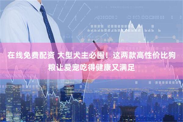 在线免费配资 大型犬主必囤！这两款高性价比狗粮让爱宠吃得健康又满足