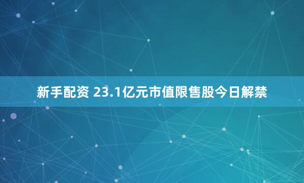 新手配资 23.1亿元市值限售股今日解禁
