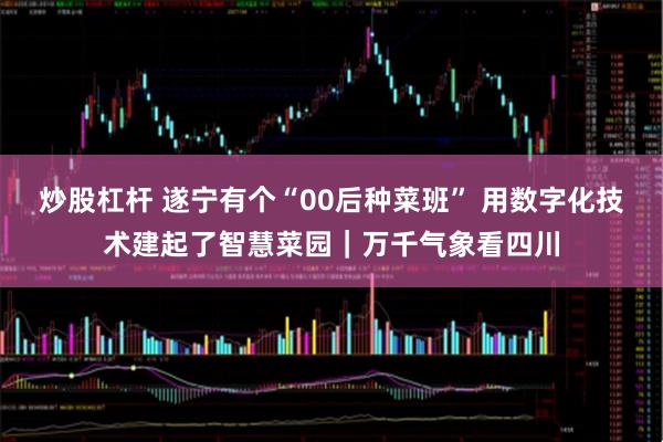 炒股杠杆 遂宁有个“00后种菜班” 用数字化技术建起了智慧菜园｜万千气象看四川