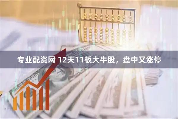 专业配资网 12天11板大牛股,盘中又涨停